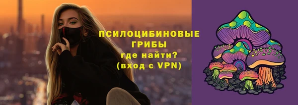 дмт Алзамай