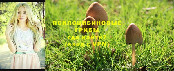 дурь Алексеевка